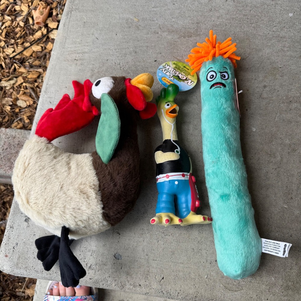 Lot of 3 Dog Toys Ruffin It Tony Mohawk Guru Fry Guys Plush Rooster Squeaky NEW
